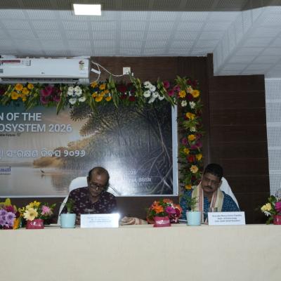 Kalinga Kusum Foundation Observes International Day for the Conservation of the Mangrove Ecosystem