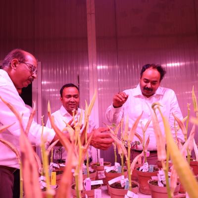 Odisha agriculture secretary visits ISARC to strengthen rice value chain and digital agriculture collaboration