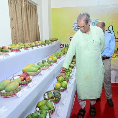 The State-Level Mango Festival, Odisha needs to create unique branding for its mangoes- Dy CM Shri Singh Deo