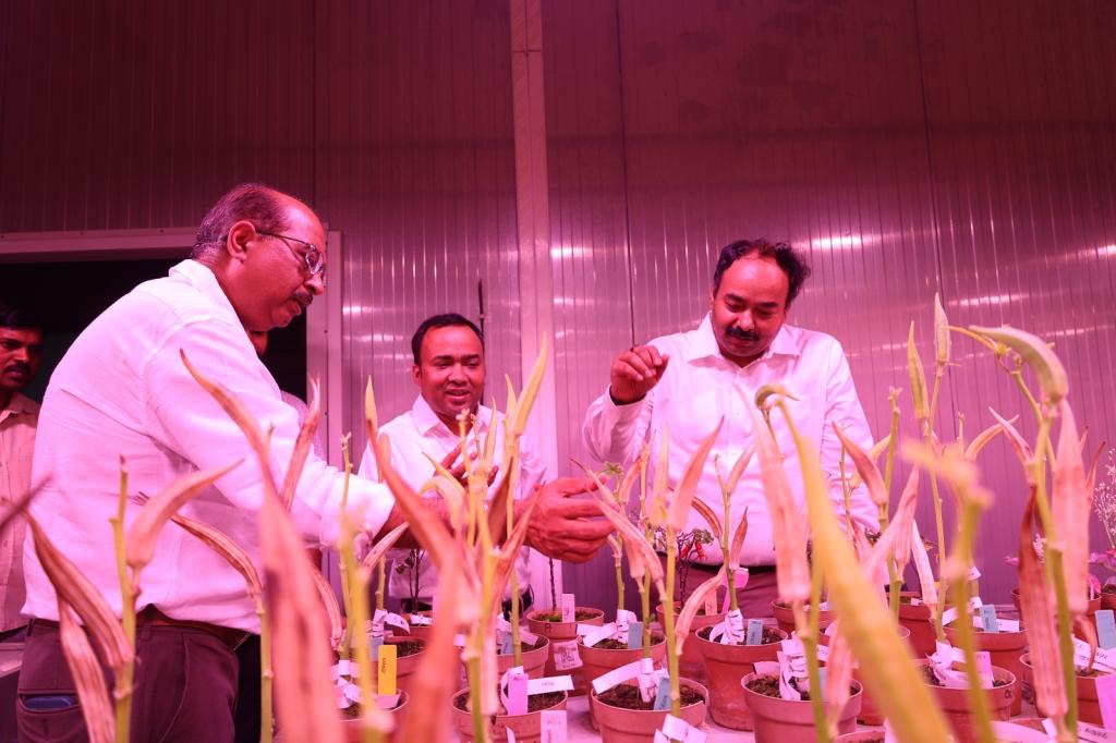 Odisha agriculture secretary visits ISARC to strengthen rice value chain and digital agriculture collaboration